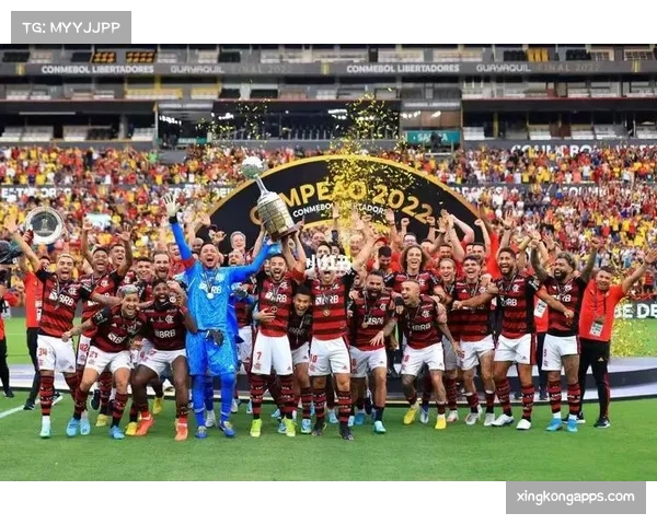 弗拉门戈晋级解放者杯决赛,路易斯称享受比赛过程